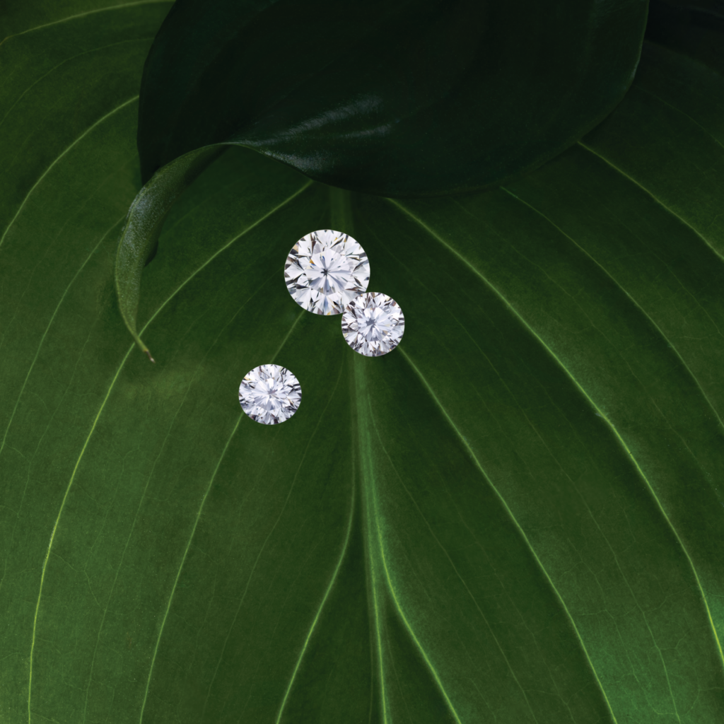 three diamonds on a leaf